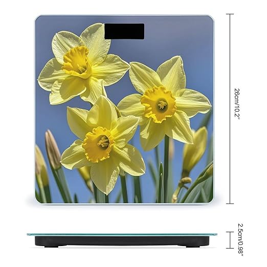 Yellow Daffodils Flowers Bathroom Scale for Body Weight with High Precision Large LCD Backlight Display Digital Weighing Scale with BMI Capacity Up to 180kg