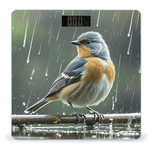 Bird on Rainy Day Weight Scale Large Digital Bathroom Scales with Bright LED Display Non Slip Digital Scale and Step On Fashion Weighing Machine for Body