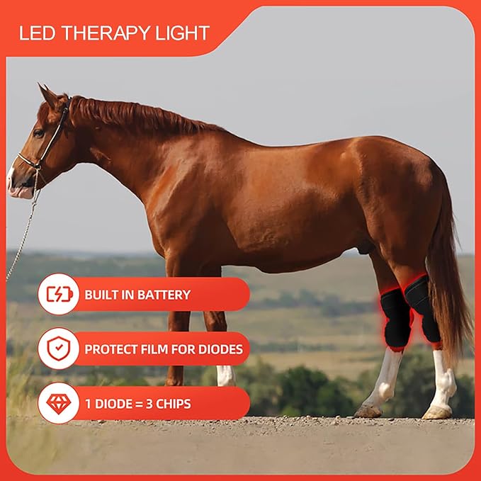 Red Light Therapy for Horses Hind Knee 660nm 850nm Infra-Red Wrap 15mins Auto Timer for Equine Pain Relief Muscle Recovery Right