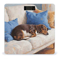 Dachshund Weight Scale Large Digital Bathroom Scales with Bright LED Display Non Slip Digital Scale and Step On Fashion Weighing Machine for Body
