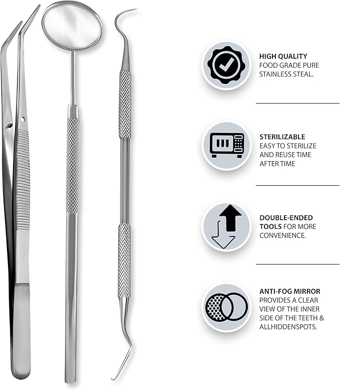 Student Professional Training Dental Hygiene Kit Stainless Steel Tools Set Plaque Removal Instruments (10)