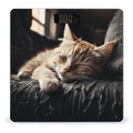 Napping Kitten Scale for Body Weight Anti-Slip Tempered Glass Digital Bathroom Scales Clear LCD Display Weighing Scale Safe Rounded Corners Smart Scales
