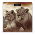 African Lion and Lioness Scale for Body Weight Safe Rounded Corners Tempered Glass Digital Bathroom Scale LED Display 400lb Capacity Weight Scales with High Precision Sensors