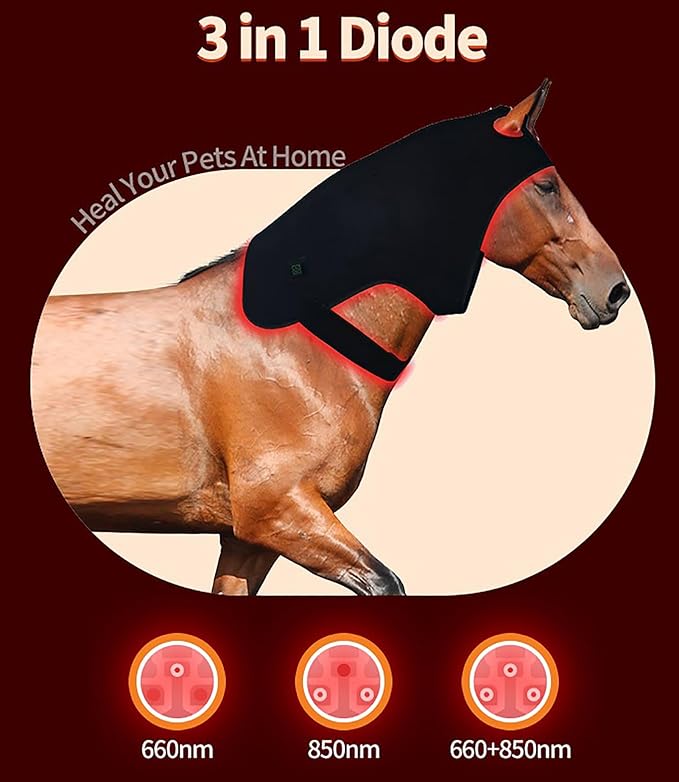 Wearable Red Light Therapy for Horses Head 3in1 Diode Led Red Light Therapy Horses Head Equipment 850nm+660nm for Horse Head/Neck Deep Light Therapy