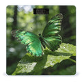 Butterfly-Green Weight ScaleClear LED Display Bathroom Digital Weighing ScaleTempered Glass Digital Bathroom Scale for Body Weight Capacity Up to 400 Lbs