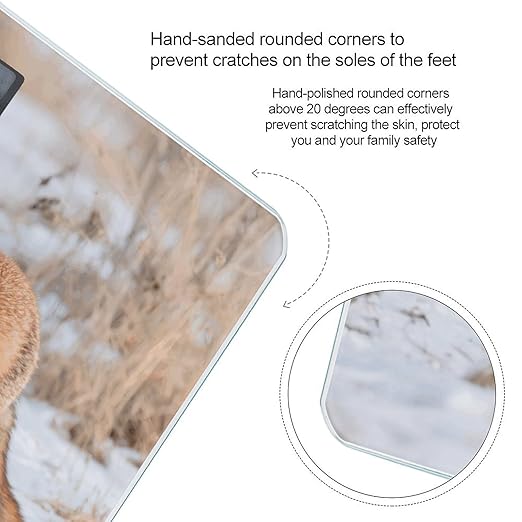 Fox Raven Interaction Scale for Body Weight Sturdy Tempered Glass Weighing Scales with LCD Display Accurate Digital Bathroom Scale Convenient Body Fat Smart Scales Easy Read