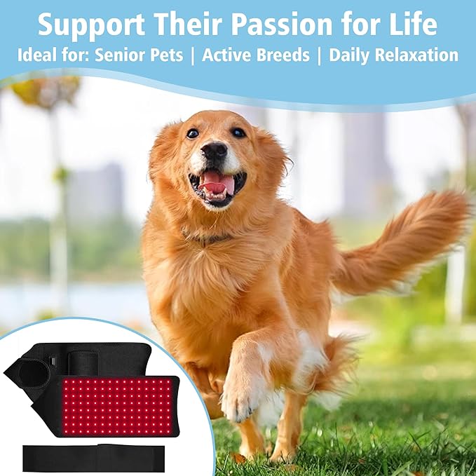 PetWell Comfort Belt: 120 LED Dog &amp Cat Red Light Therapy Belt - Portable Infrared Light Wrap for Back Hips Knees | Soothing Mat Pad Device for Arthritis &amp Pain Relief in Pets