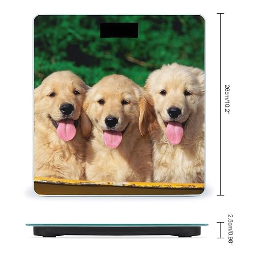 Golden Retriever Dogs Puppies Pets Scale for Body Weight Anti-Slip Sturdy Tempered Glass Weighing Machine Highly Digital Accurate Bright LCD Bathroom Scale for Household Gift