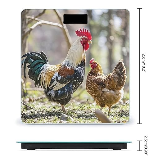 Rooster and Hen Bathroom Scale for Body Weight with High Precision Large LCD Backlight Display Digital Weighing Scale with BMI Capacity Up to 180kg