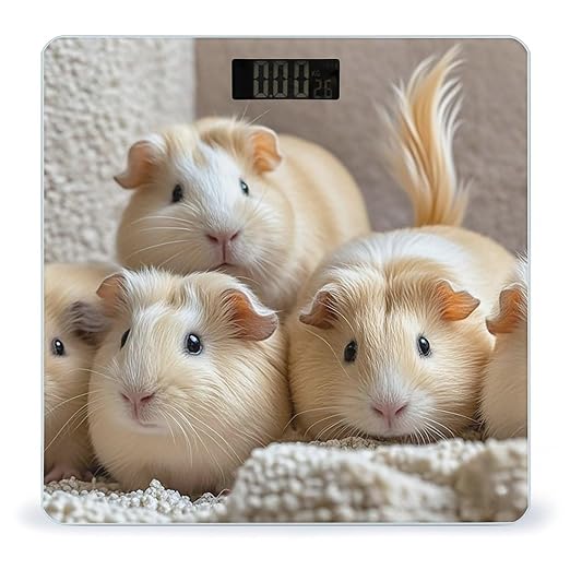 Guinea Pigs Bathroom Scale Digital Weight Scale Precision 400 Lbs Weighing Scales Large with LCD Backlight Display BMI Measures