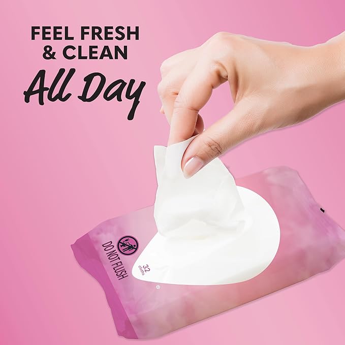 Summer's Eve Simply Sensitive Feminine Wipes 32 Count (4 Pack) &amp Vagisil Feminine Wash Odor Block 12 oz (1 Pack)