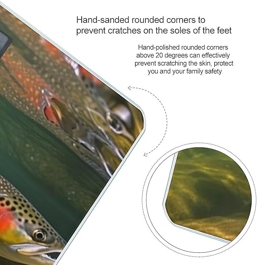 Brook Trout Fly Fishing Scale for Body Weight Sturdy Tempered Glass Weighing Scales with LCD Display Accurate Digital Bathroom Scale Convenient Body Fat Smart Scales Easy Read