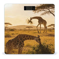 African Giraffes Weight ScaleClear LED Display Bathroom Digital Weighing ScaleTempered Glass Digital Bathroom Scale for Body Weight Capacity Up to 400 Lbs