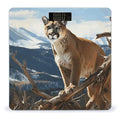 Panther Mountain Lion Bathroom Scale Automatic Power On/Off Body Scales LCD Backlight Display Square Digital Scale Rounded Corners Bathroom Scales for Home Bedrooms