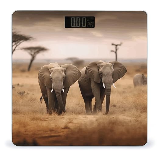 Wild Animals Elephants Scale with LCD Precision Weighing Scales Sturdy Tempered Glass Weight Scales Easy-to-Read Anti-Slip Weight Digital Bathroom Scale for Daily