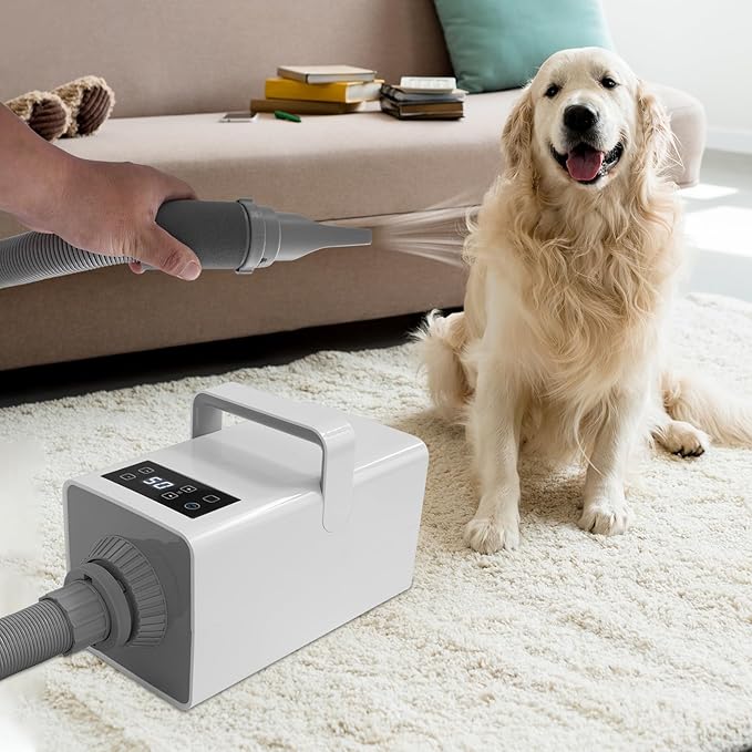 White Pet Hair Dryer 3-Heat Adjustable Dog Cat Grooming Blower Quiet 2-Speed Motor with 4 Snap-On Nozzles Lightweight Home Drying Machine for Small to Large Dogs 110 V 10 ft Hose