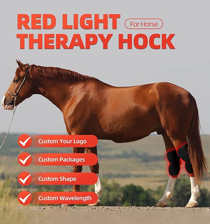 GOURIXIN LED Red Light Therapy for Horse Knee Portable Wearable Infrared Therapy Wrap 660nm/850nm for Equine Joint &amp Muscle Recovery