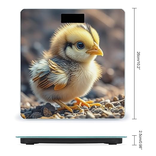 Chicken Chick Bathroom Scale Automatic Power On/Off Body Scales LCD Backlight Display Square Digital Scale Rounded Corners Bathroom Scales for Home Bedrooms