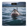 Shark in The Lake Scale for Body Weight Highly Accurate Digital Bathroom Scale Sturdy Tempered Glass Weighing Scales with LCD Display Fashion Body Fat Smart Scales 400lb