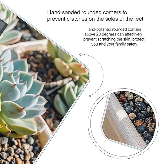 Smiling SucculentsSmiling Succulents Scale for Body Weight Highly Accurate Digital Bathroom Body Scale Digital Bathroom Scales for People Anti-Slip Large LCD Display Smart Scales