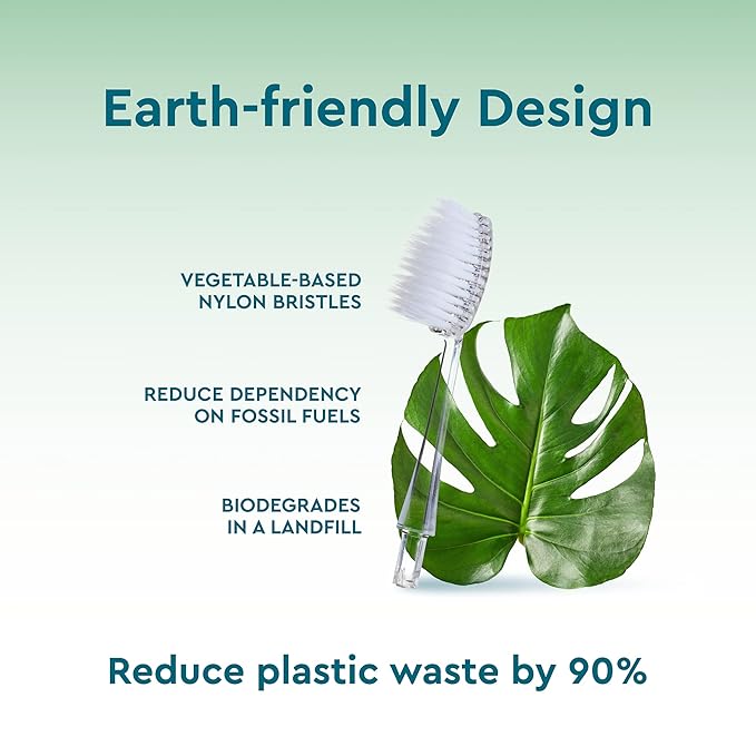Radius Toothbrush Replacement Brush Heads 2-Count Improve Gum Health &amp Reduce Gum Issues - Soft - Pack of 6