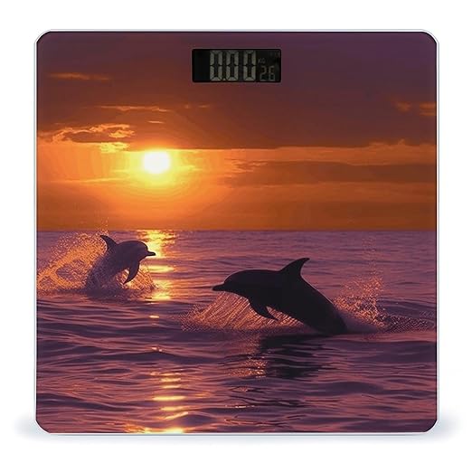 Sunset Dolphins Weight Scale for Body Weight Digital Bathroom Scale High Capacity Accurate Digital Weighing Scales and Easy-to-Read on Backlit LCD Display Scales