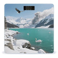 Alpine Lake View Scale for Body Weight Sturdy Tempered Glass Weighing Scales with LCD Display Accurate Digital Bathroom Scale Convenient Body Fat Smart Scales Easy Read