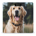 Funny Golden Retriever Scale for Body Weight Digital Bathroom Scale Toughened Glass High Precision Scales for Body Weight with Large LCD Backlight Display Weight Scales