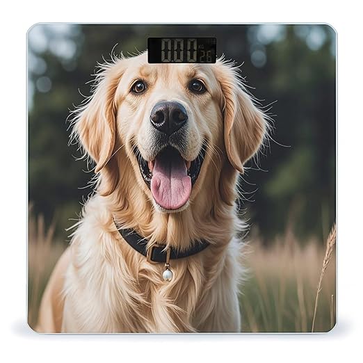 Funny Golden Retriever Scale for Body Weight Digital Bathroom Scale Toughened Glass High Precision Scales for Body Weight with Large LCD Backlight Display Weight Scales