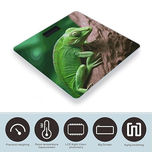 Green Lizard Smart Scale for Body Weight Accurate Bathroom Scale with LED Display Digital Weight Scales Weighing Machine High Precision Scales for Bath Home