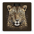 Patterned Leopard Head Digital Bathroom Scale for Body Weight Weighing Scale with Backlit LCD Display High Precision Measurements &amp Measures Weight Up to 180kg
