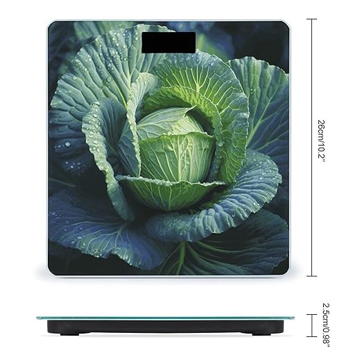 Bright Cabbage Bathroom Scale for Body Weight Bathroom Weighing Scale with Backlit LCD Display Highly Accurate Measures Weight Up to 180kg