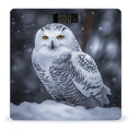 Arctic Owl Bathroom Scale Large LCD Backlight Display Digital Scale Rounded Corners Body Scales Automatic Power On/Off Bathroom Scales for Home Bedrooms