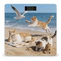 Beach Cat Fun Weight ScaleClear LED Display Bathroom Digital Weighing ScaleTempered Glass Digital Bathroom Scale for Body Weight Capacity Up to 400 Lbs