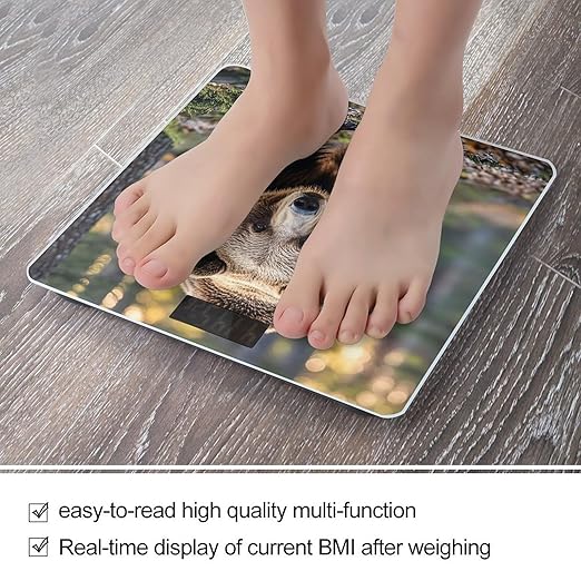 Bear Scale for Body Weight Highly Accurate Digital Bathroom Body Scale Digital Bathroom Scales for People Anti-Slip Large LCD Display Smart Scales