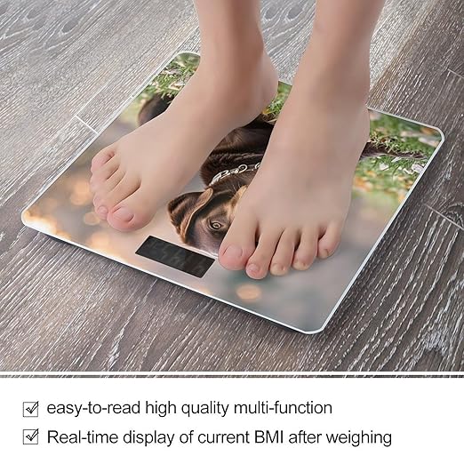 Brown Labrador Retriever Bathroom Scale for Body Weight with High Precision Large LCD Backlight Display Digital Weighing Scale with BMI Capacity Up to 180kg