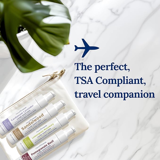 Lotion Hand Sanitizer Variety 4 Pack | Hand Sanitizer Travel Size | Moisturizing Hand Lotion | With Aloe Vera &amp Essential Oils | Vitamin E | Cleanse &amp Moisturize | For Cars Backpacks Travel