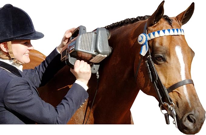 Thumper Equine Professional Horse Massager – Powerful percussive massager designed for horses. Can be used outdoors - deep tissue full body massager for professional use.
