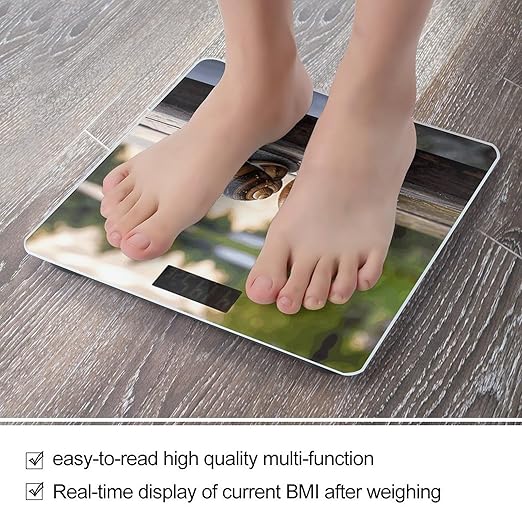 Two Snails on The Bench Bathroom Scale for Body Weight Bathroom Weighing Scale with Backlit LCD Display Highly Accurate Measures Weight Up to 180kg