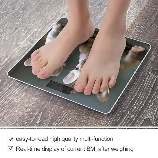 Digital Bathroom Scale for Body Weight Scale with Bright LCD Display High Accuracy Step-On Technology Auto On/Off French Bulldog Puppies Digital Scales 400 Lbs /180kg