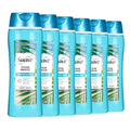Suave Ocean Breeze Moisturizing Body Wash with Glycerin &amp Vitamin E Hydrating Formula For Soft Smooth Skin Long Lasting Fragrance 18 FL OZ 6 Count