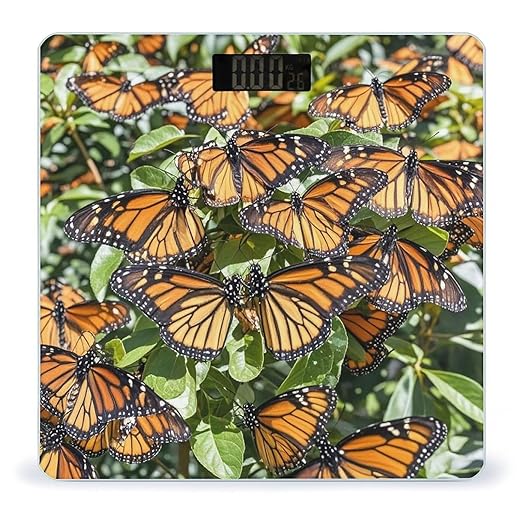 Heaps of Orange Monarch Butterflies Scale for Body Weight Smart Scales Digital Bathroom Scale High Precision Weighing Scales with Large Display Weighing Machine for People