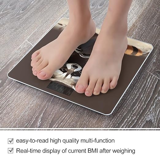 Cute Raccoon2 Bathroom Scale for Body Weight Bathroom Digital Electronic Weighing Scale with Back Lit LED Display Sturdy Tempered Glass Weight Watchers Scales 400lb