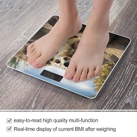 Meerkat Animal Bathroom Scale Ultra-Bright Liquid Crystal Screen Weight Scale Accurate Bathroom Body Scales for Body Weight Bathroom Pet Home Bedroom Gift-Giving