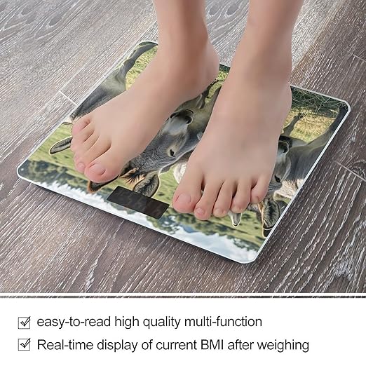 Donkey Animals Scale for Body Weight Smart Scales Digital Bathroom Scale High Precision Weighing Scales with Large Display Weighing Machine for People
