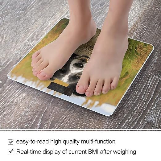 Mohado Border Collie Dog Bathroom Scale Rounded Smart Scale for Body Weight Automatic Power On/Off Weight Scales Accurate Bathroom Digital Scales for Pet Home Bedroom Kitchen
