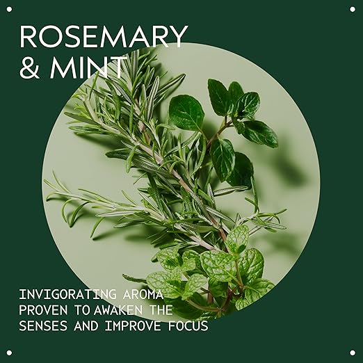 Aveda Rosemary Mint Hand &amp Body Wash | Liquid Hand Soap and Body Wash | with Invigorating Aroma of Certified Organic Peppermint &amp Rosemary