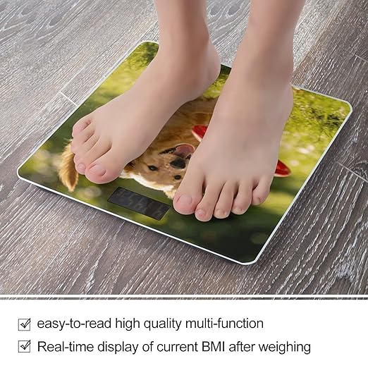 Interesting Puppy Weight ScaleClear LED Display Bathroom Digital Weighing ScaleTempered Glass Digital Bathroom Scale for Body Weight Capacity Up to 400 Lbs