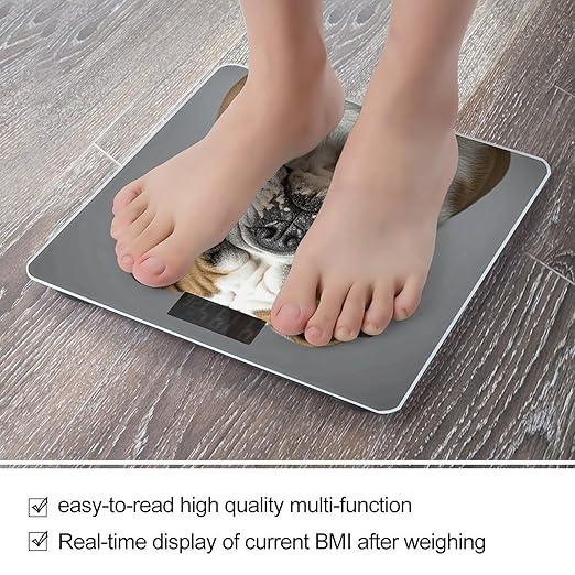 English-Bulldog Scale for Body Weight Digital Bathroom Scale Toughened Glass High Precision Scales for Body Weight with Large LCD Backlight Display Weight Scales