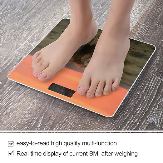 Lion on African Savannah Weight Scale Cute Bathroom Scale for Body Highly Accurate Digital Weighing Machine for People Compact LCD Display Scales with Sturdy Toughened Glass Scales